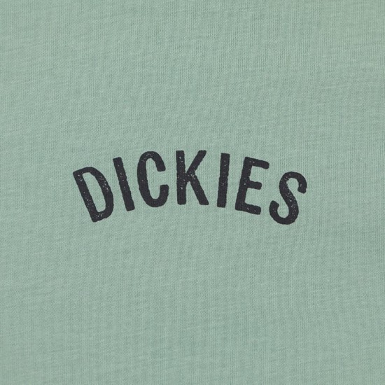 DICKIES SNAKE TEE SS ΜΠΛΟΥΖΑ ΑΝΔΡΑΣ